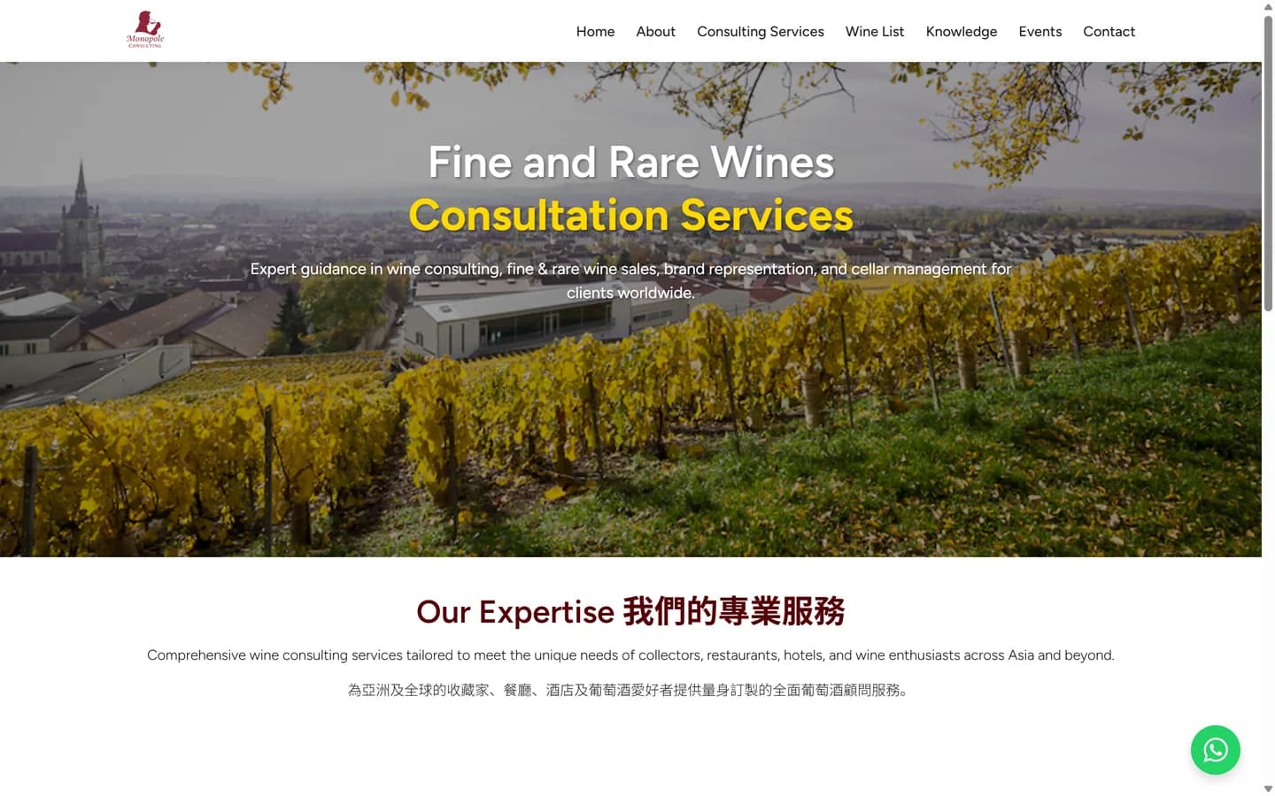 Monopole Consulting website